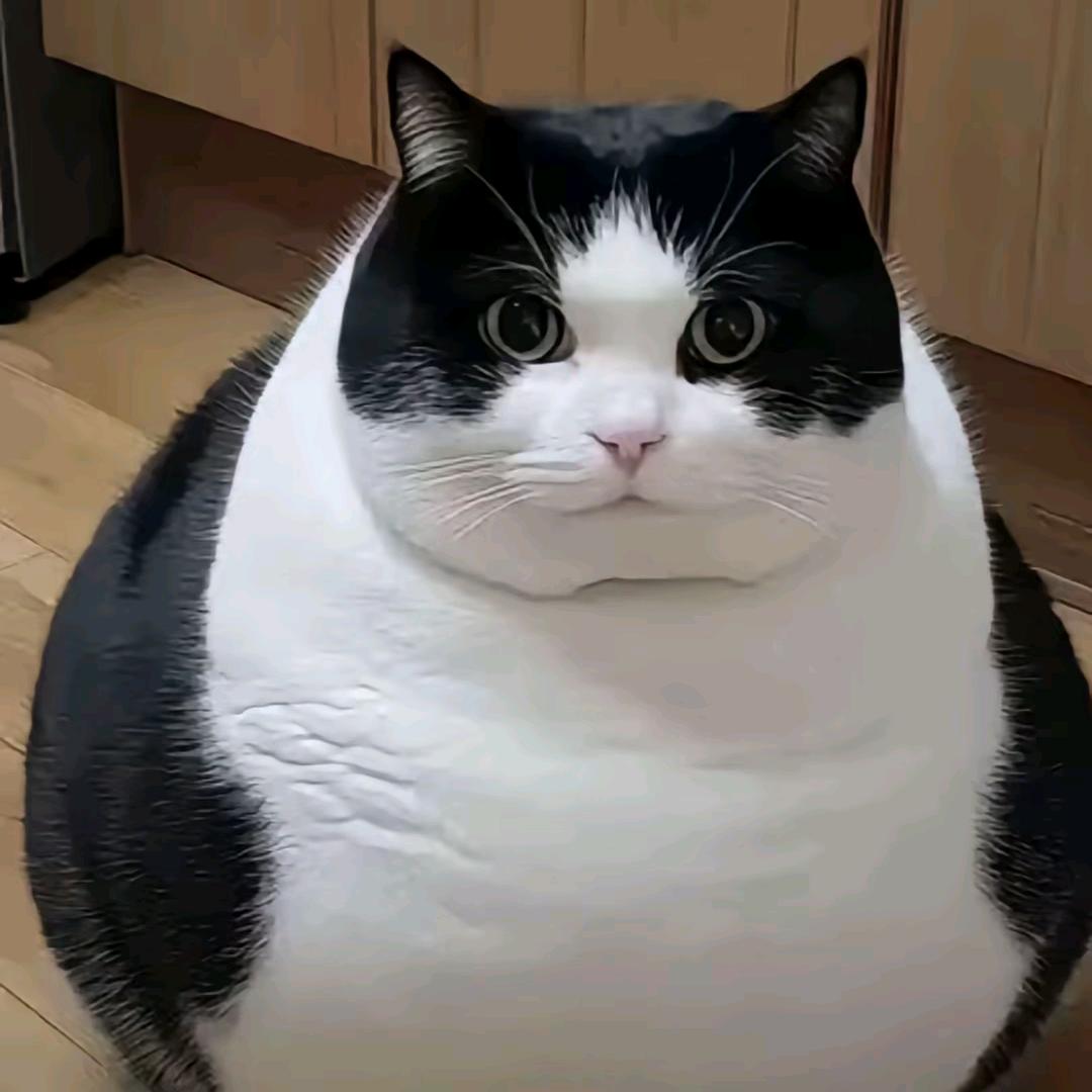 (⁎⁍̴̛ᴗ⁍̴̛⁎)