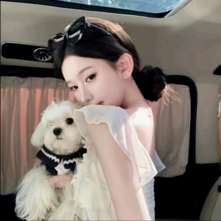 o泡泡