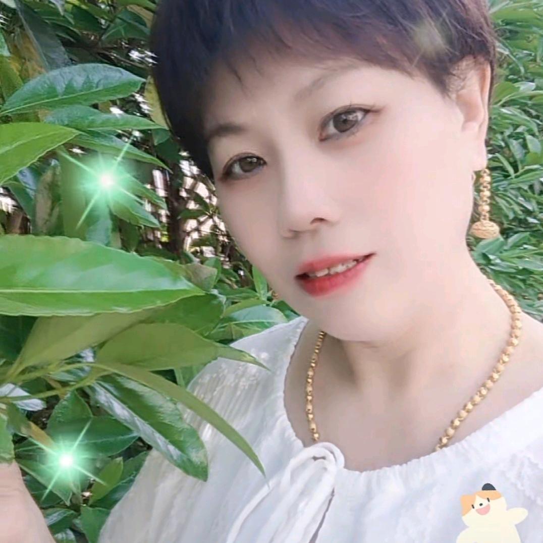 🍁🍁枫叶🍁🍁
