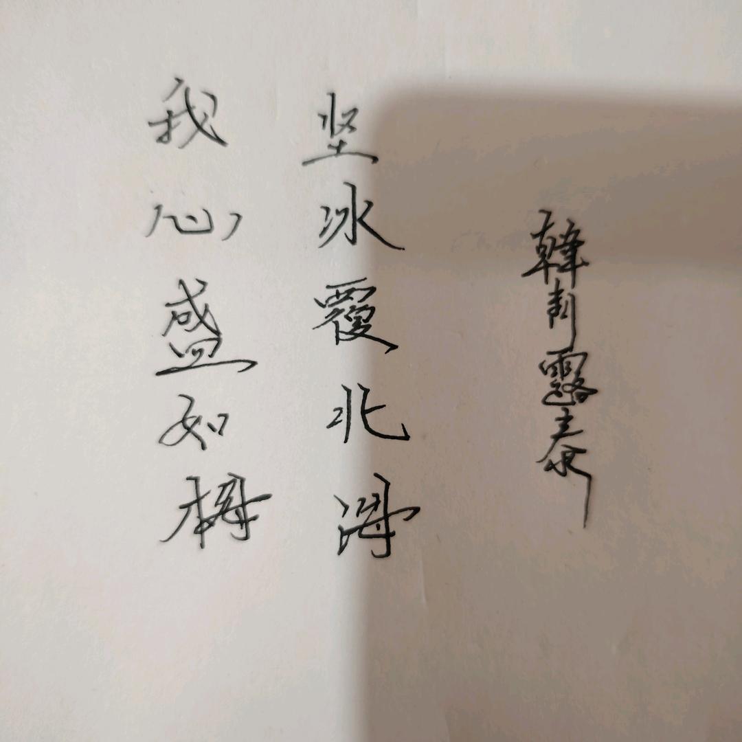 一桥薇松青春天