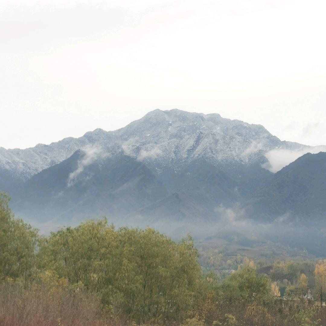 枫山昪