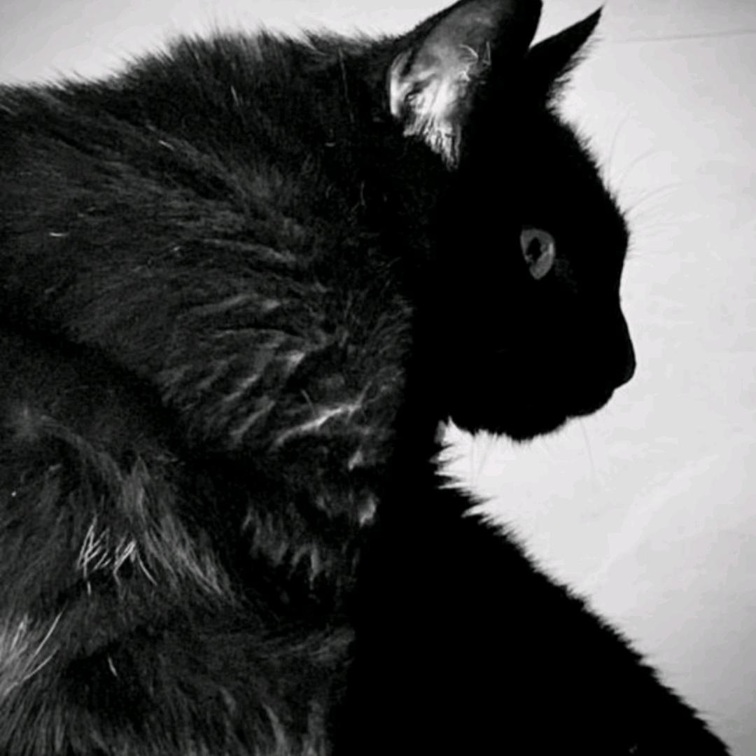 匿.