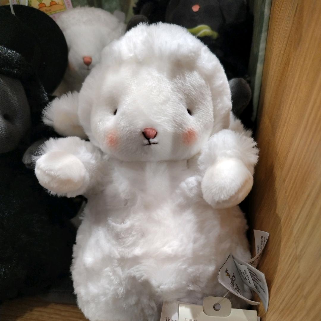 丰富多彩吃