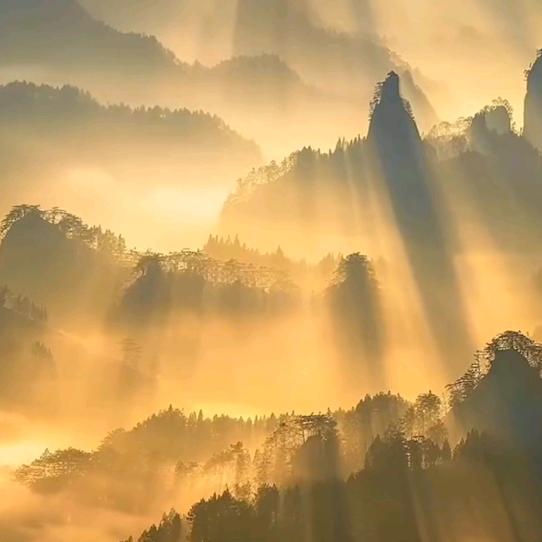 简