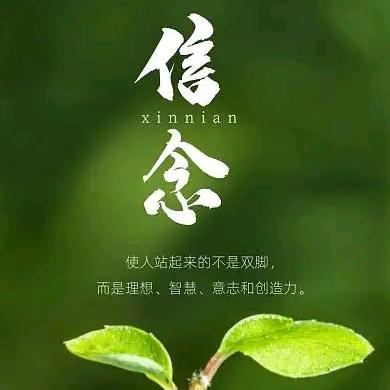 佰汇元