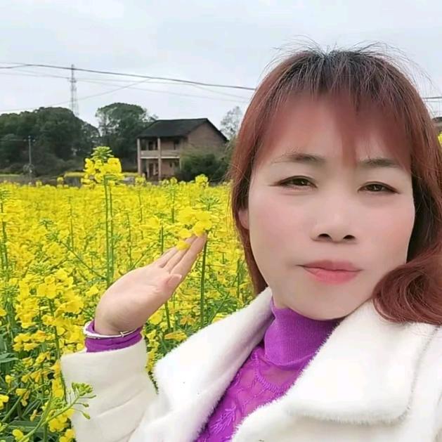 林妹妹
