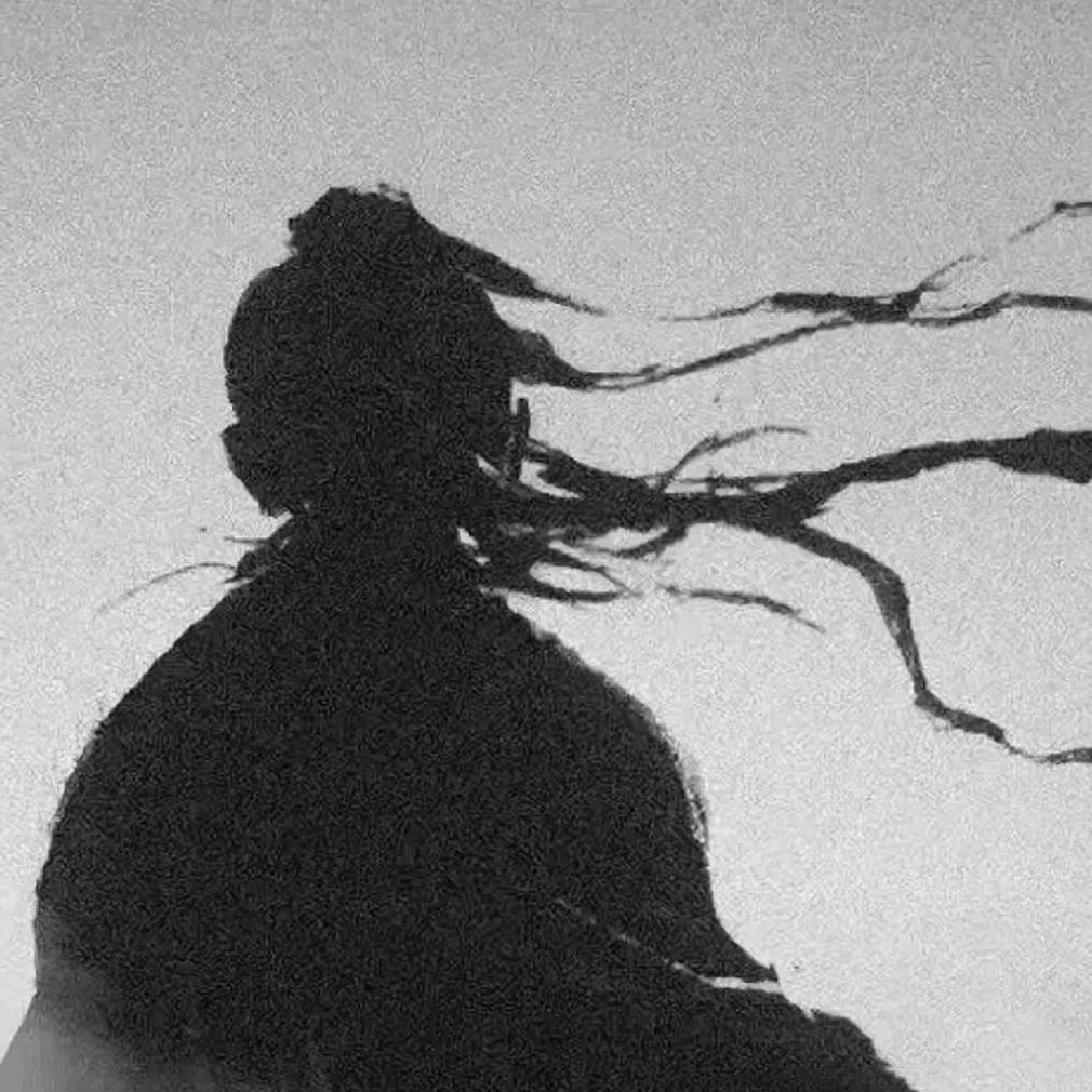 萧通杰的88383宠粉号