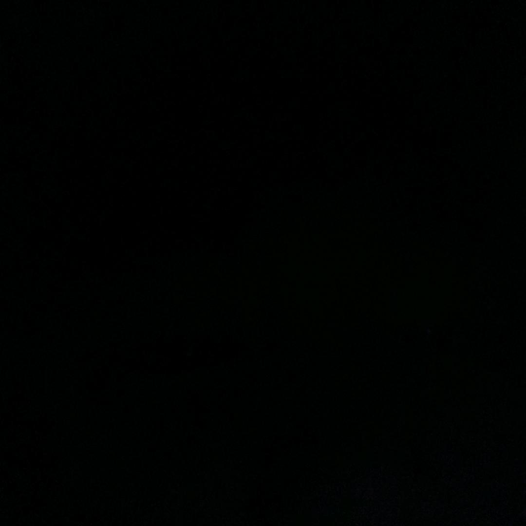 岛主