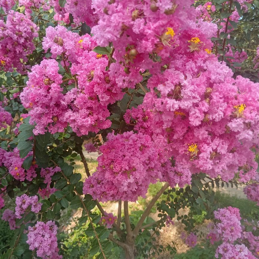 八卦易经