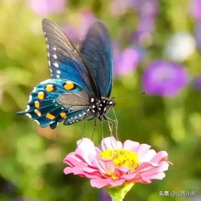 为了碎银苦作舟