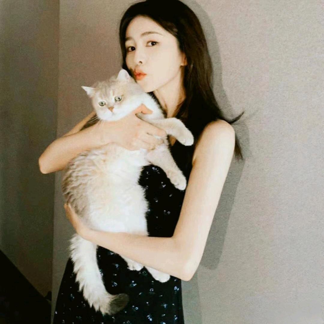 Cˇ