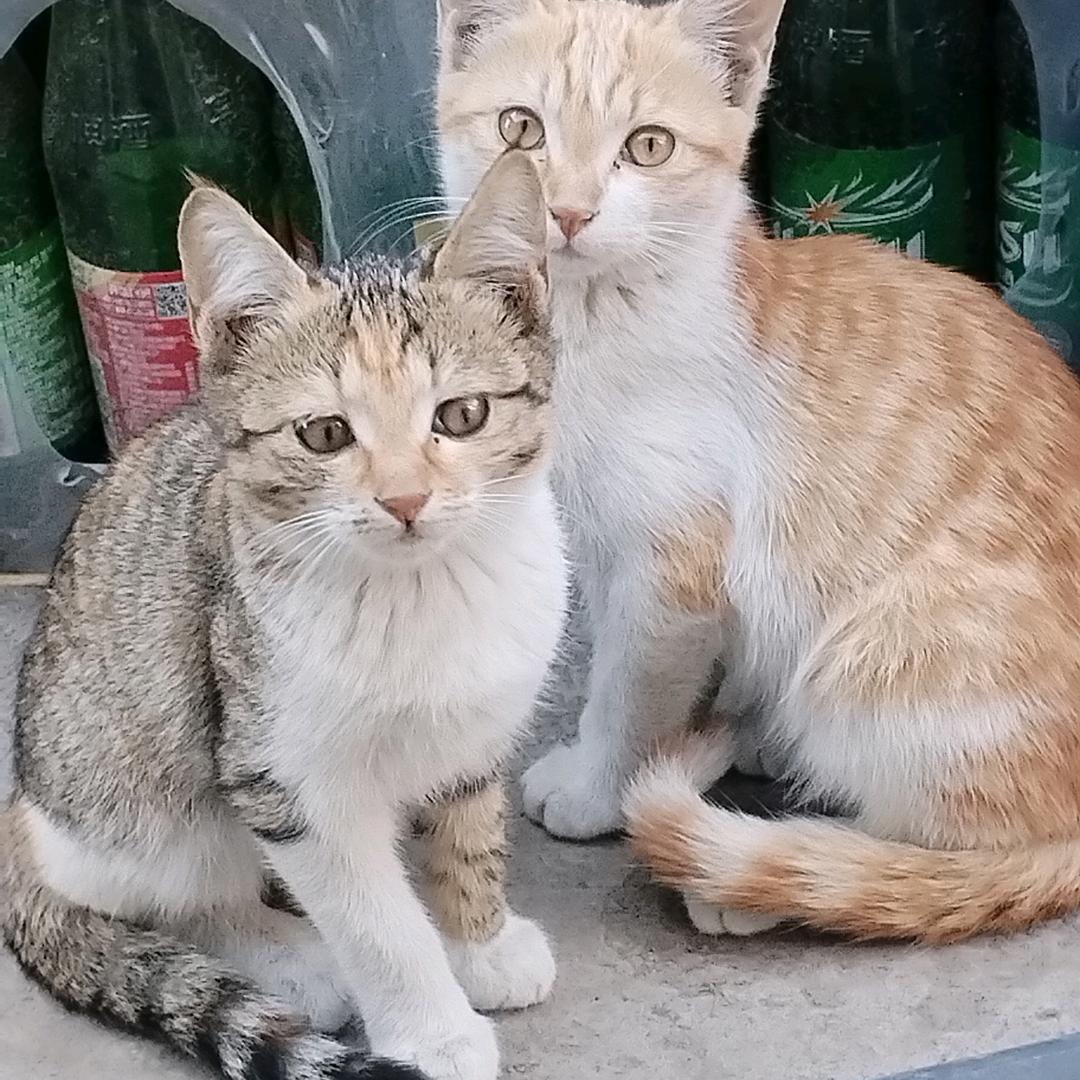 一生所爱