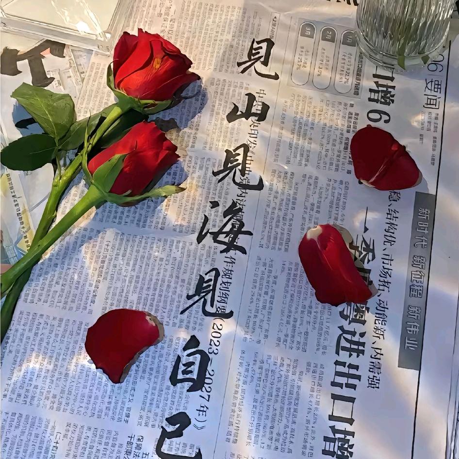 道友请留步