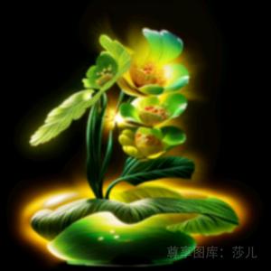 七海秋的魔兽世界