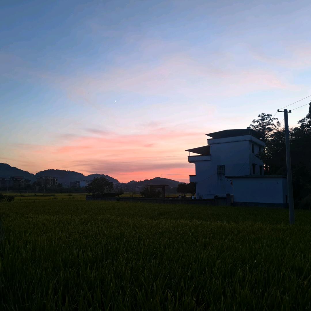 杨枝甘露加冰
