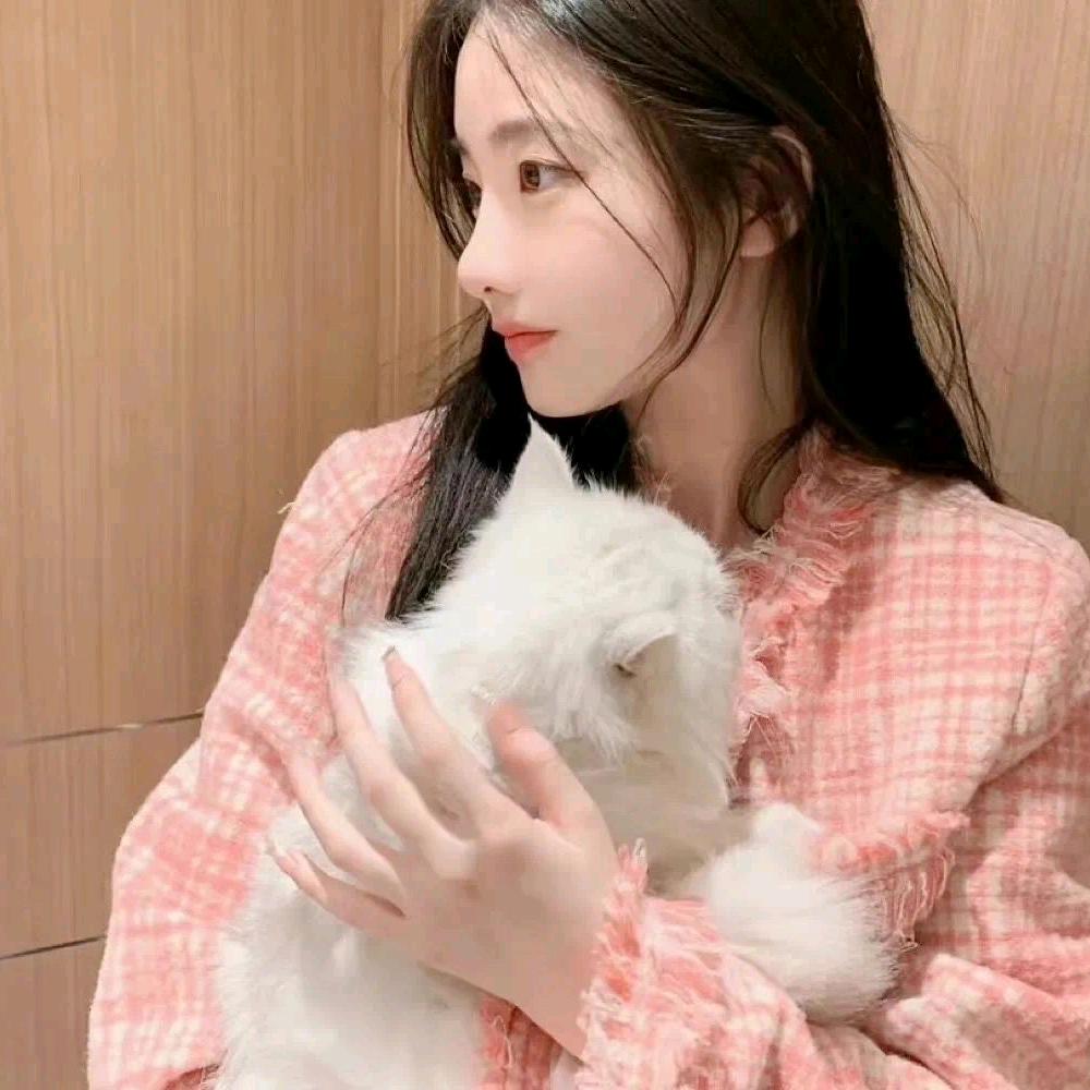 猫姐故事说