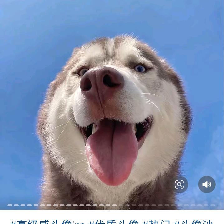 晚星。