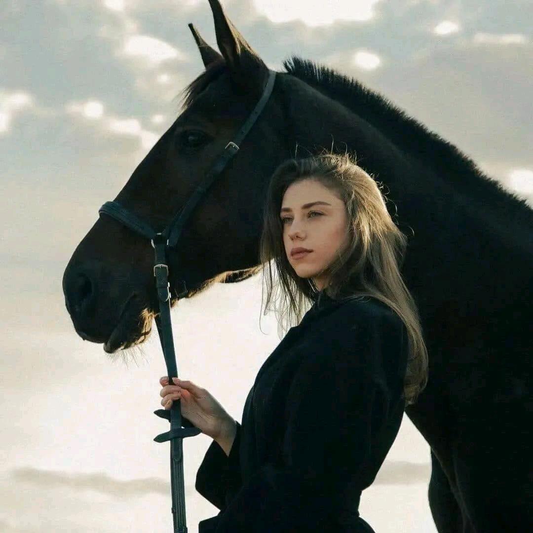 菲尔（带货号）