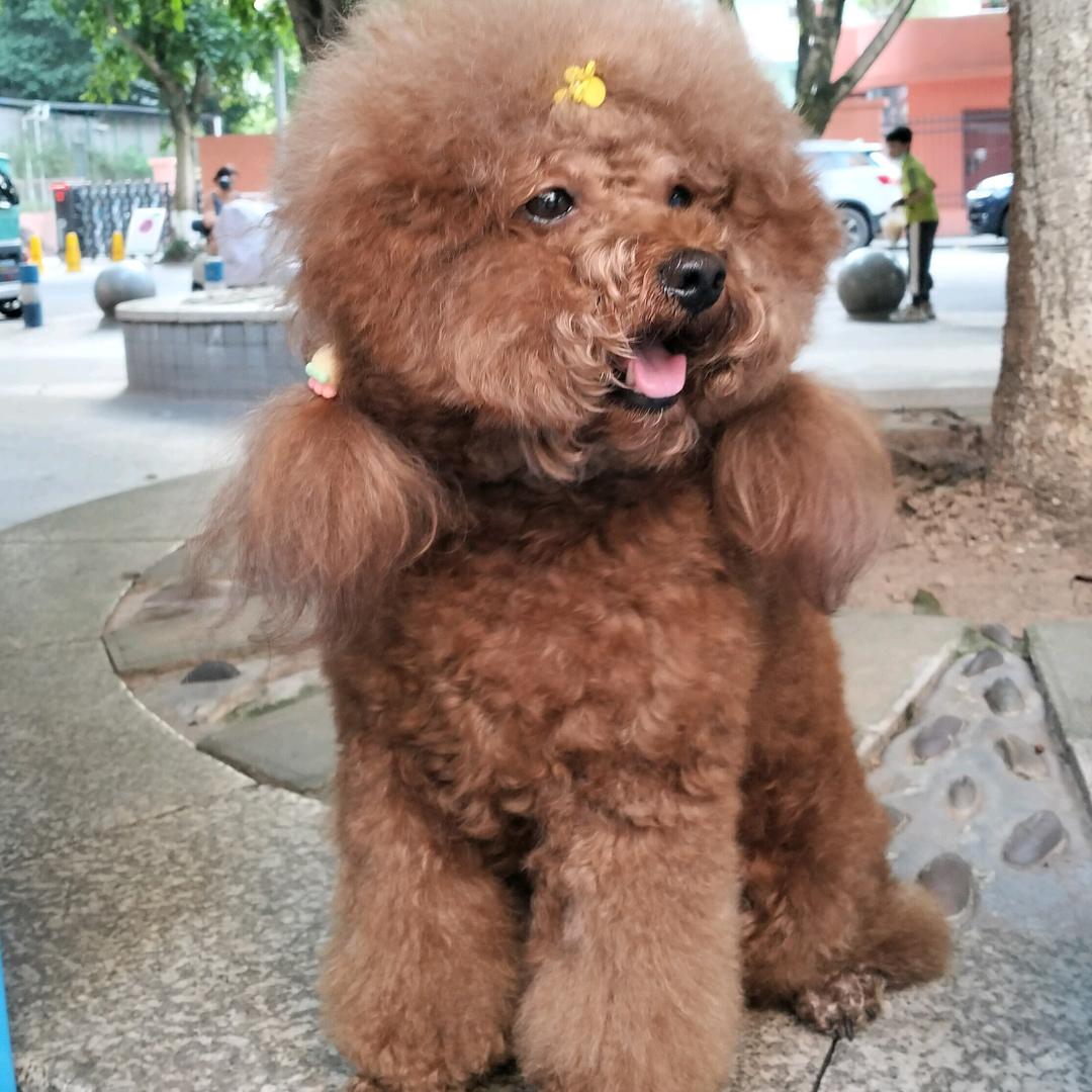 咖啡有点苦（拒绝私聊）