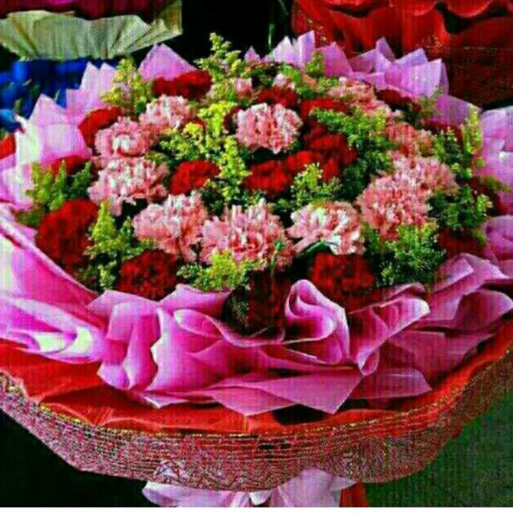 昨夜星辰🌹🌺👠🍎🍭🦚🌧