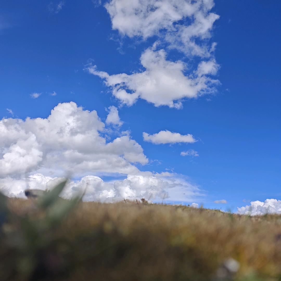 爱踩泥的小丸子