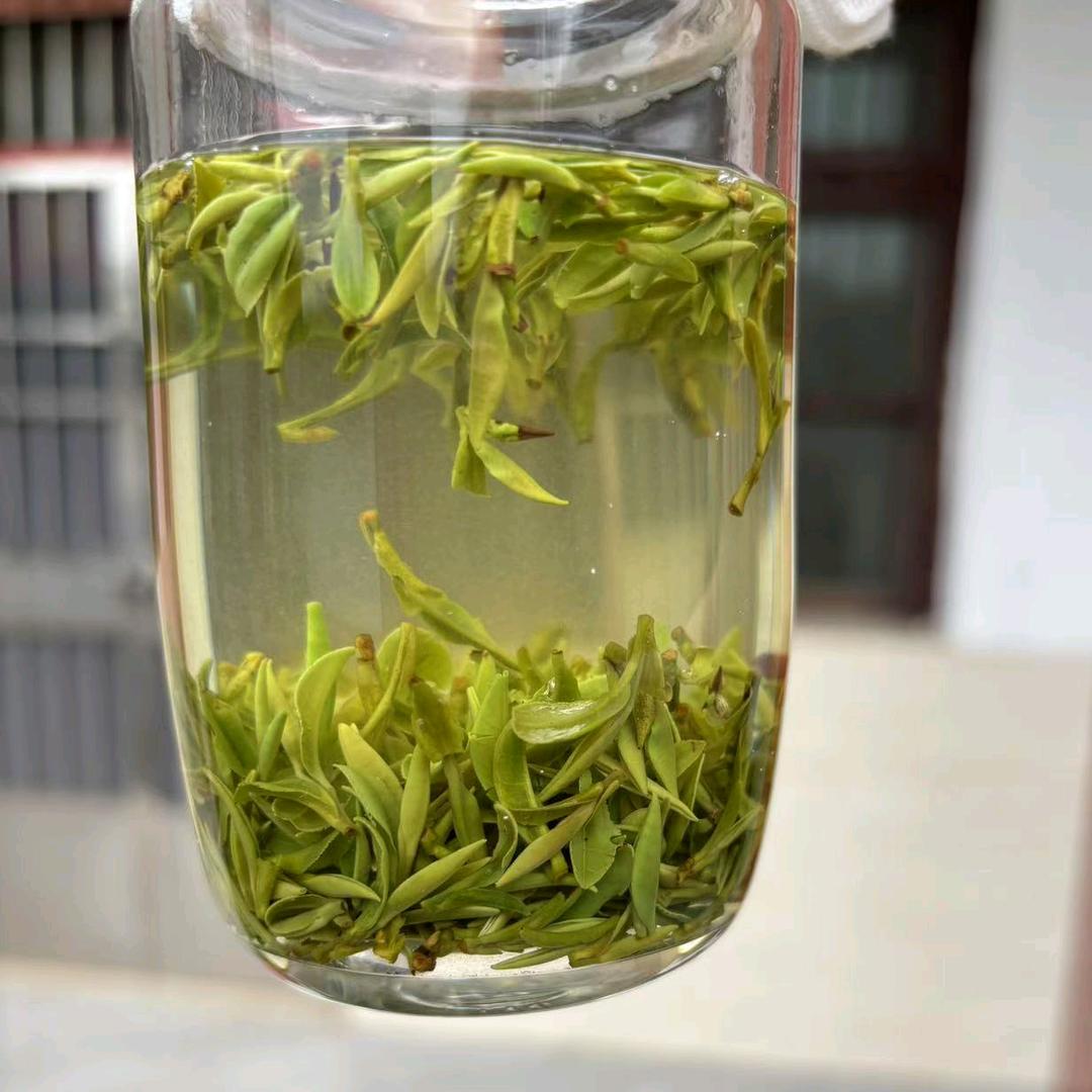 谢集捺山绿杨春