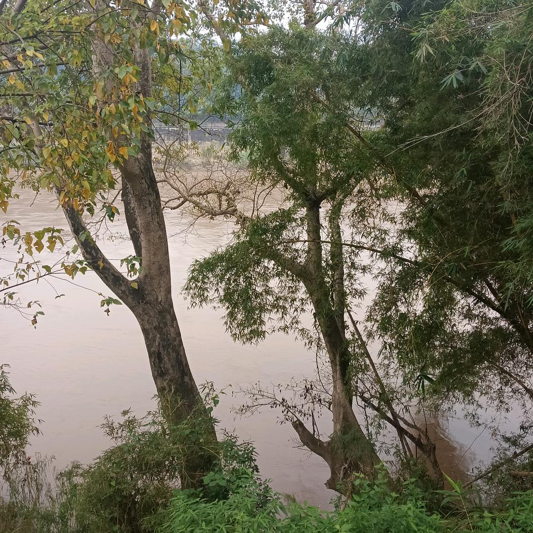 简单爱，爱筒单