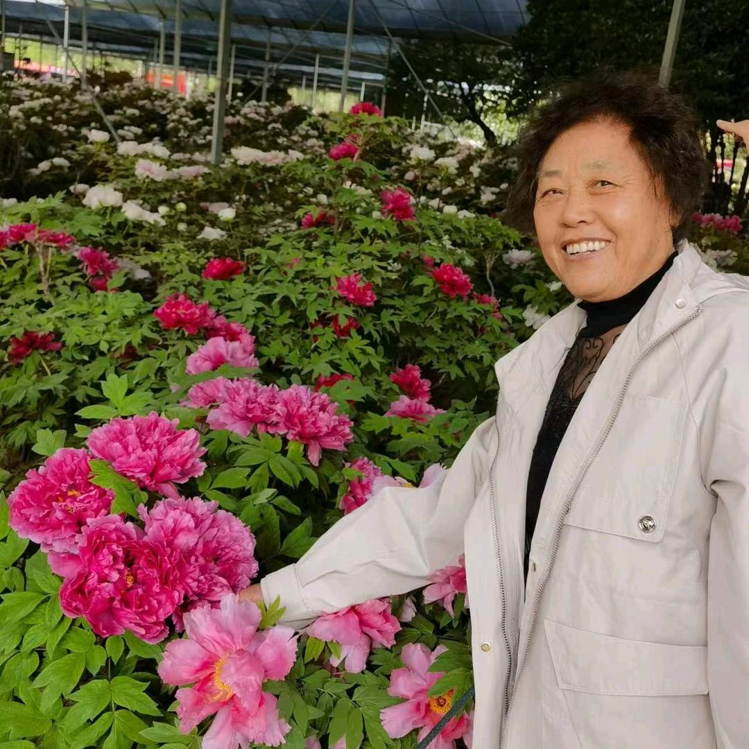 喜乐安康，幸福