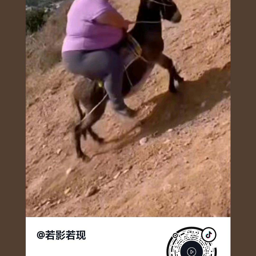 我不认识你