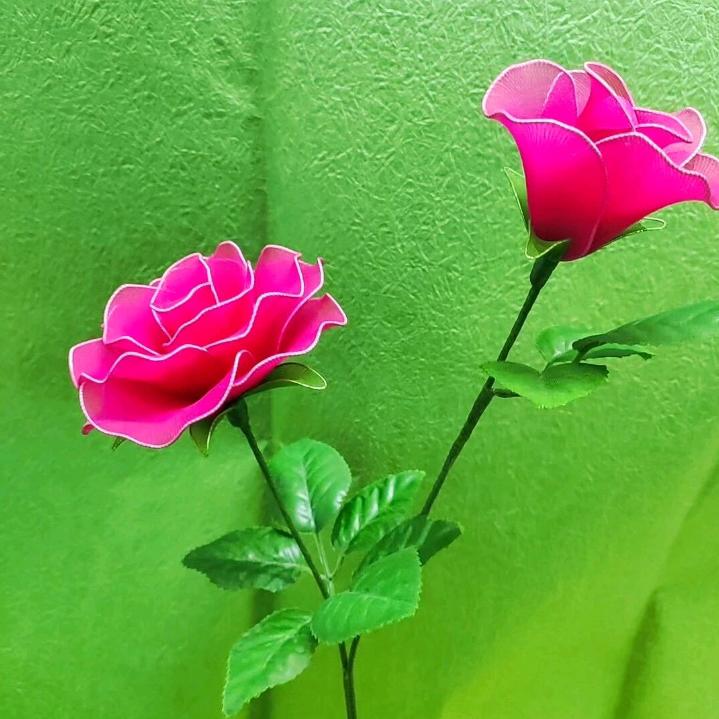 🌞笑嘻嘻🌞
