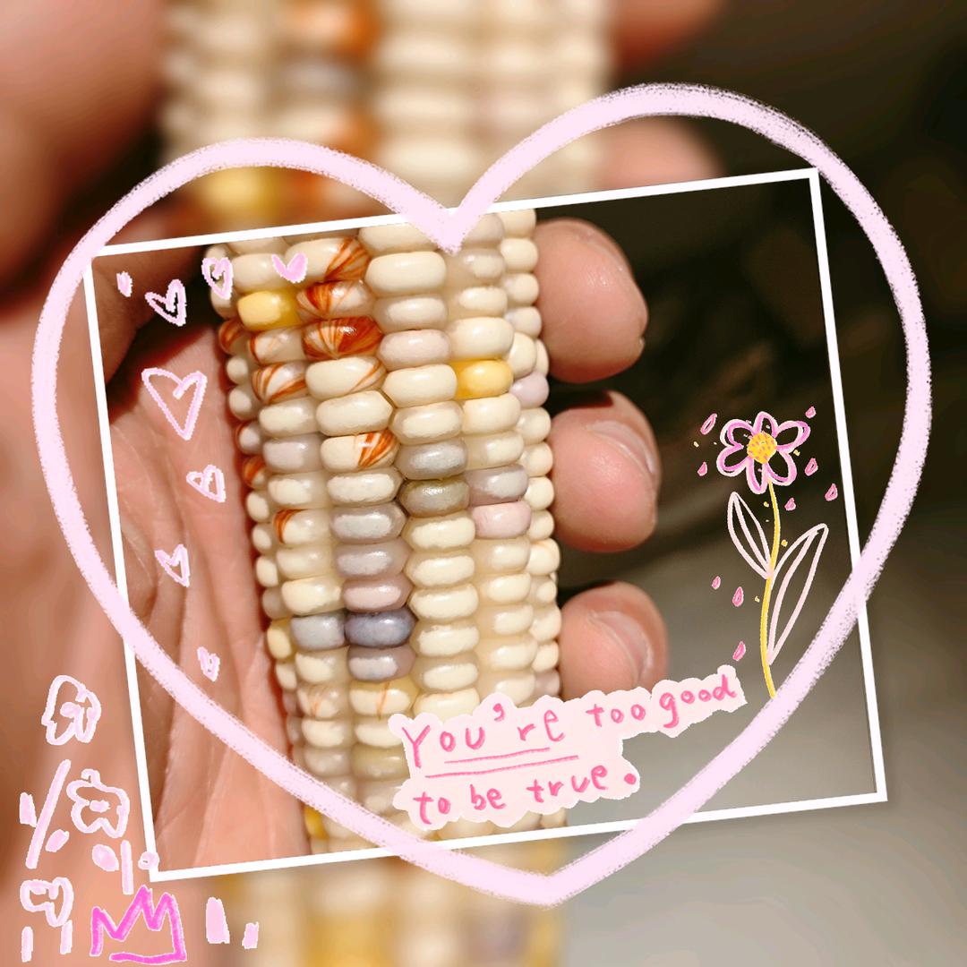 玲珑阁文玩玉米