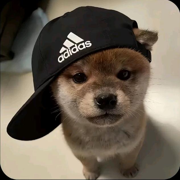 痛緖.头像