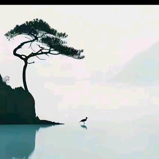 笑对人生🌸