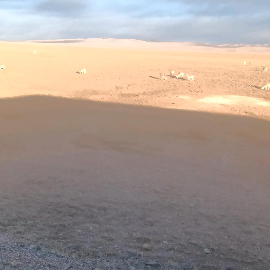 别碰我的❤️心(ꐦÒ‸Ó)你个老六