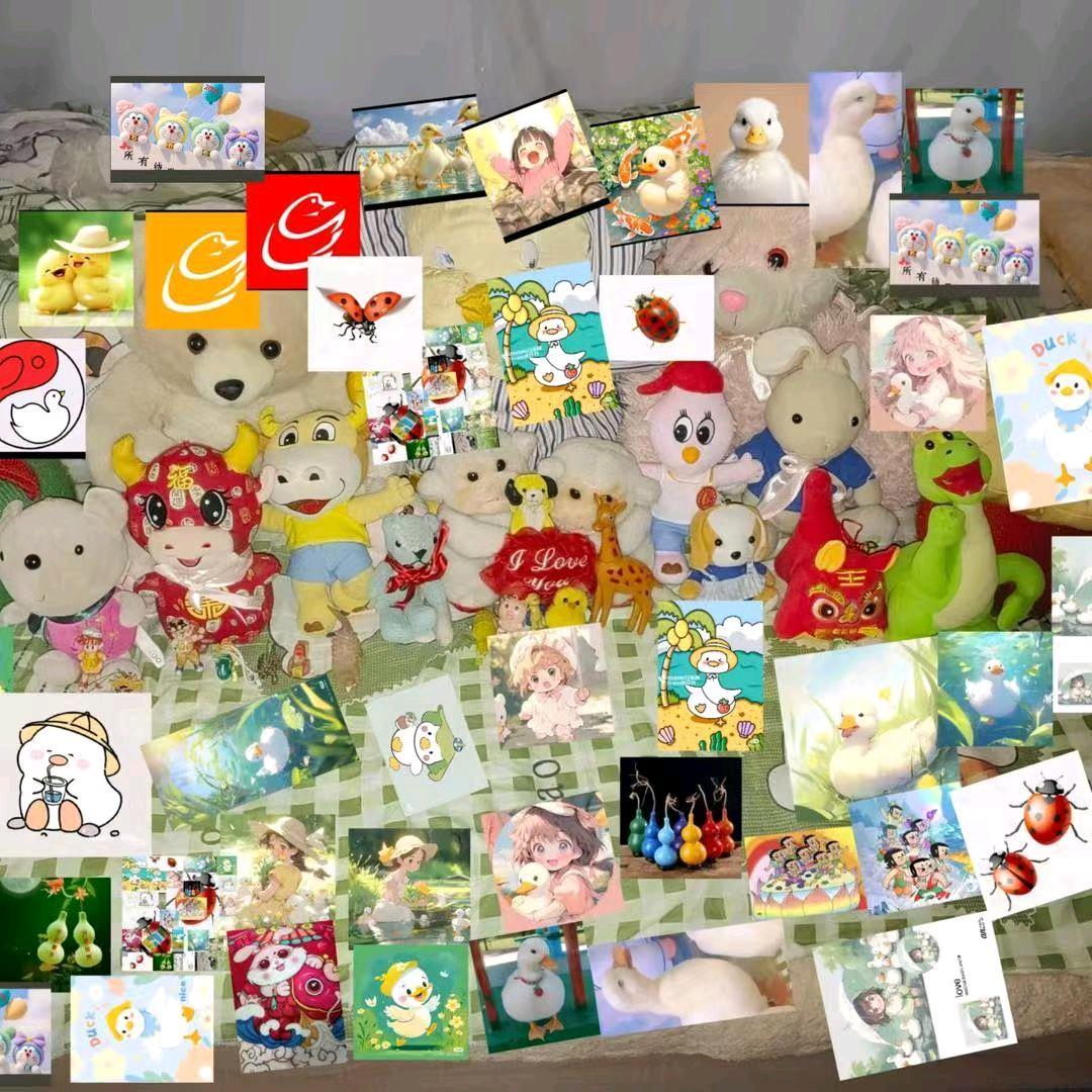 是小洁呀丫的洁橘小陈小程我是思洁瑛洁