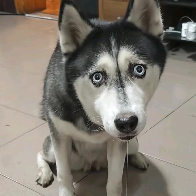 一个不靠谱的男子。