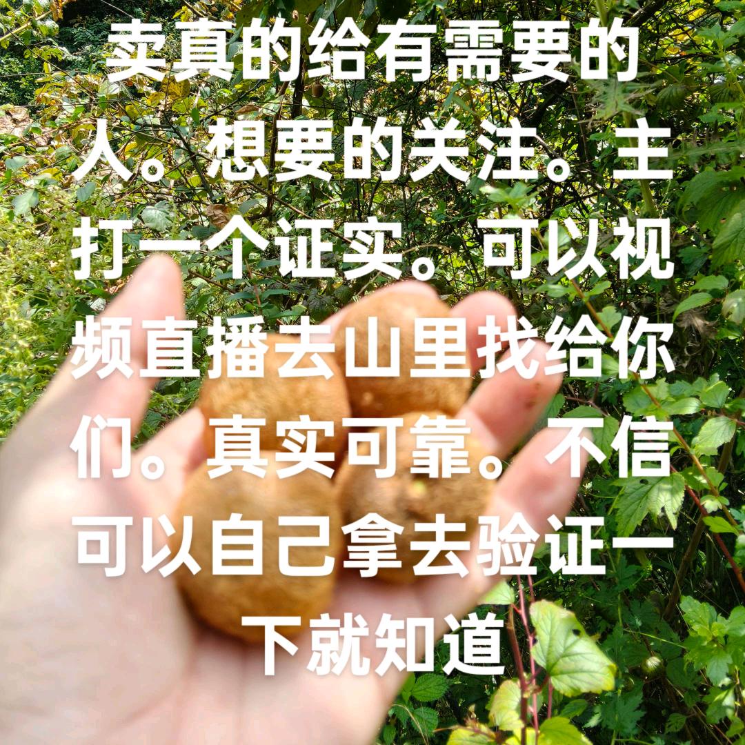 认真真实做好。做到你心想的真实