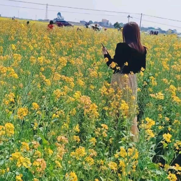 🌸默默🌸