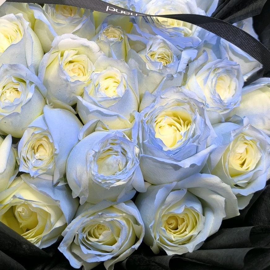 🌹知足是福🌹