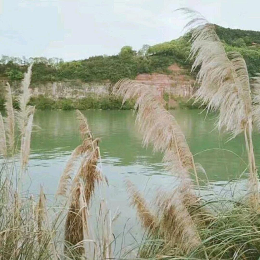 再见理想