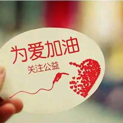 泌阳孝心到家
