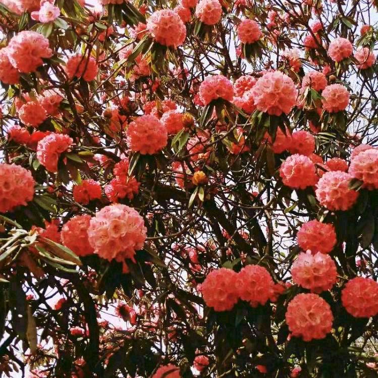 今生用泪水陪伴过