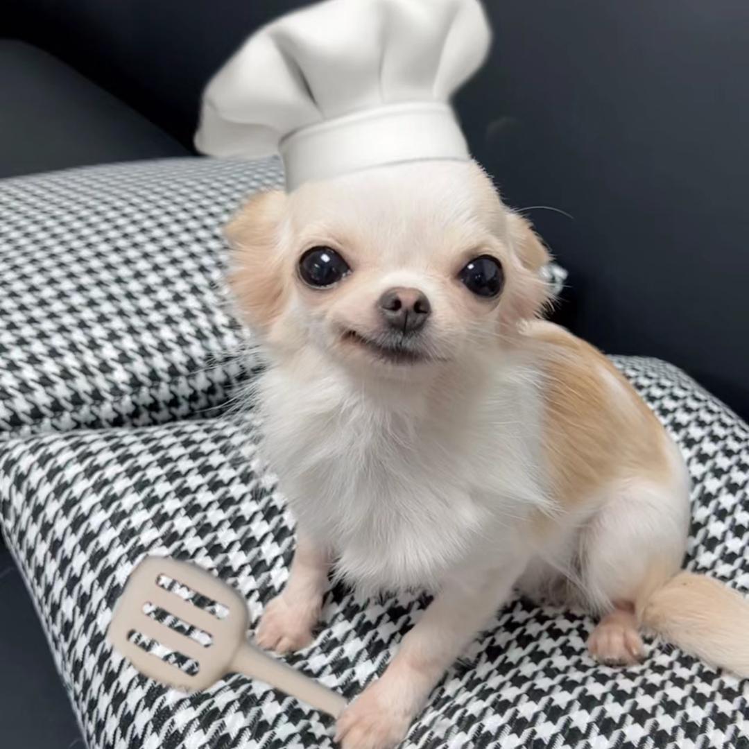 薯条大王