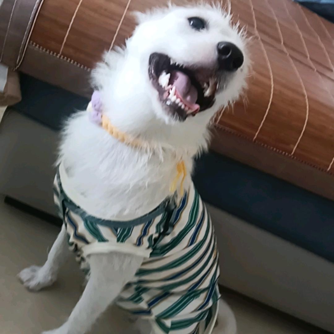 美好的遇见🌺🌺🌺