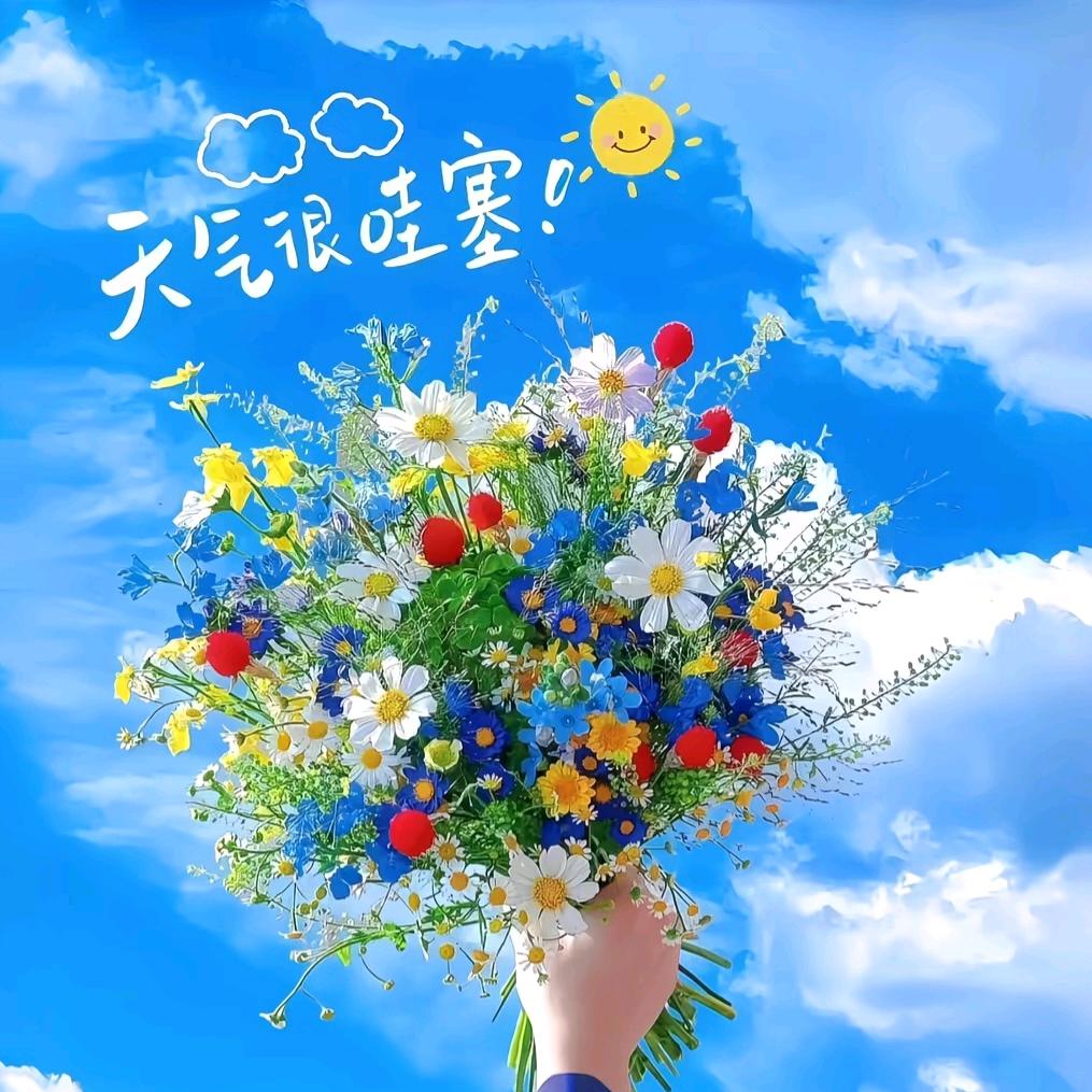 小陈吖🍒