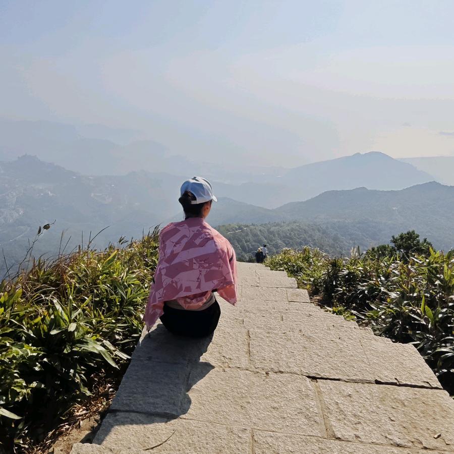 💫杨红