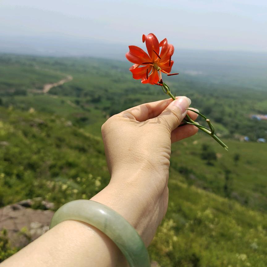 毛毛