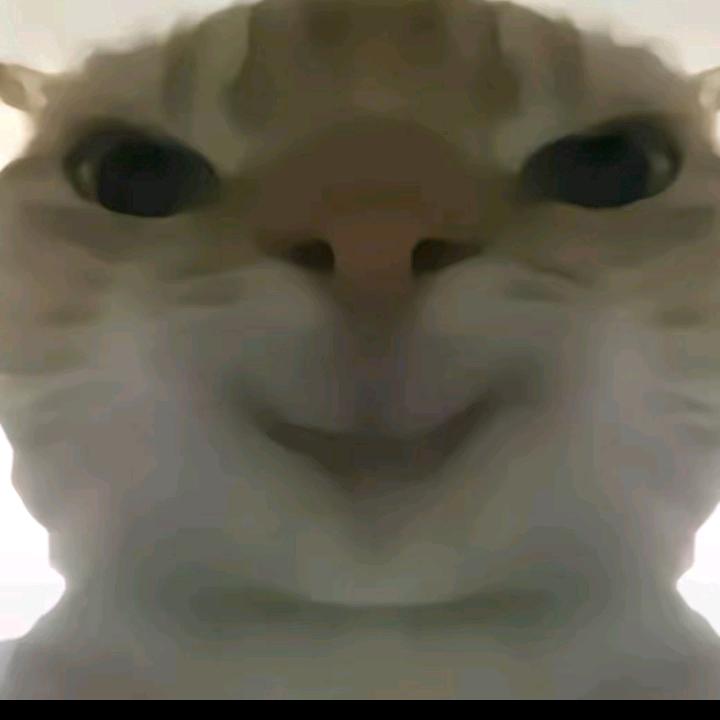 啥也不会的叶某