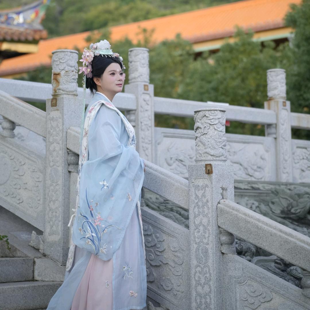 贵妃妃