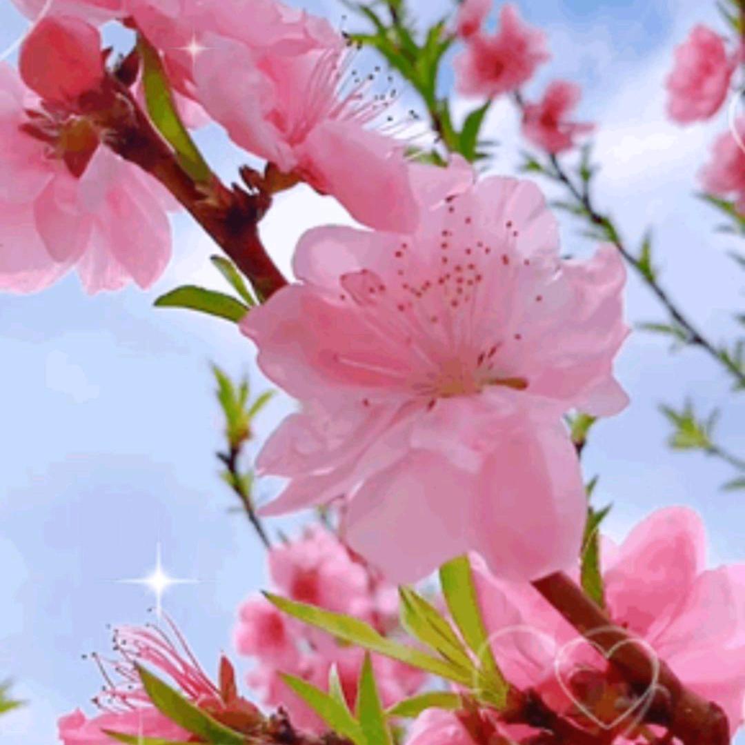 看淡人生，开心每一天